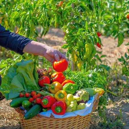 Hotell May Beach Hotel 4*