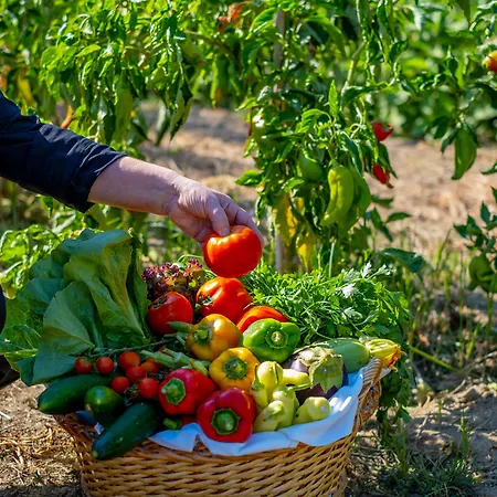 May Beach Hotel 4* Rethymno