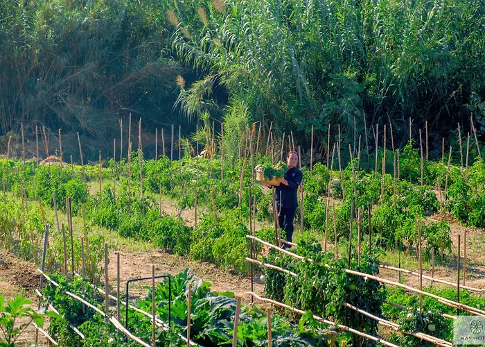 May Beach Hotel Hotel Rétino