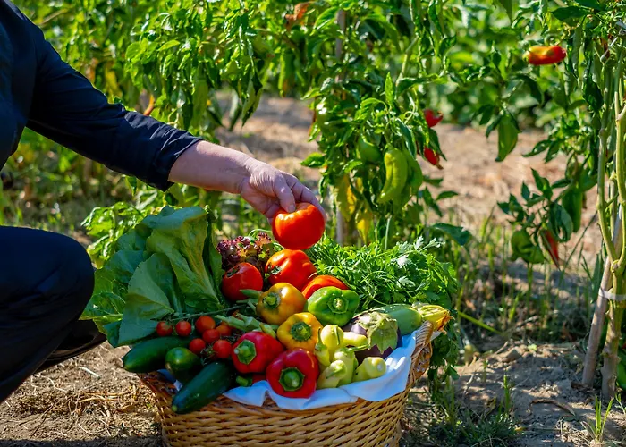 May Beach Hotel 4* Ретимно (Крит)