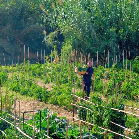 May Beach Hotel Hotel Rethimnon