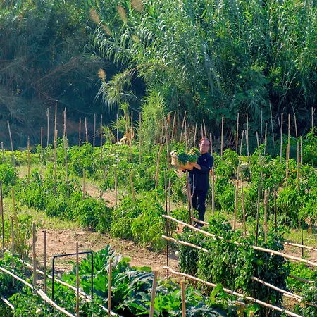 May Beach Hotel Hotel Rétino